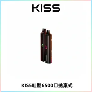 KIS5WAGOO哇酷6500口拋棄式 | 自由混搭雙口味 | 雙芯組合